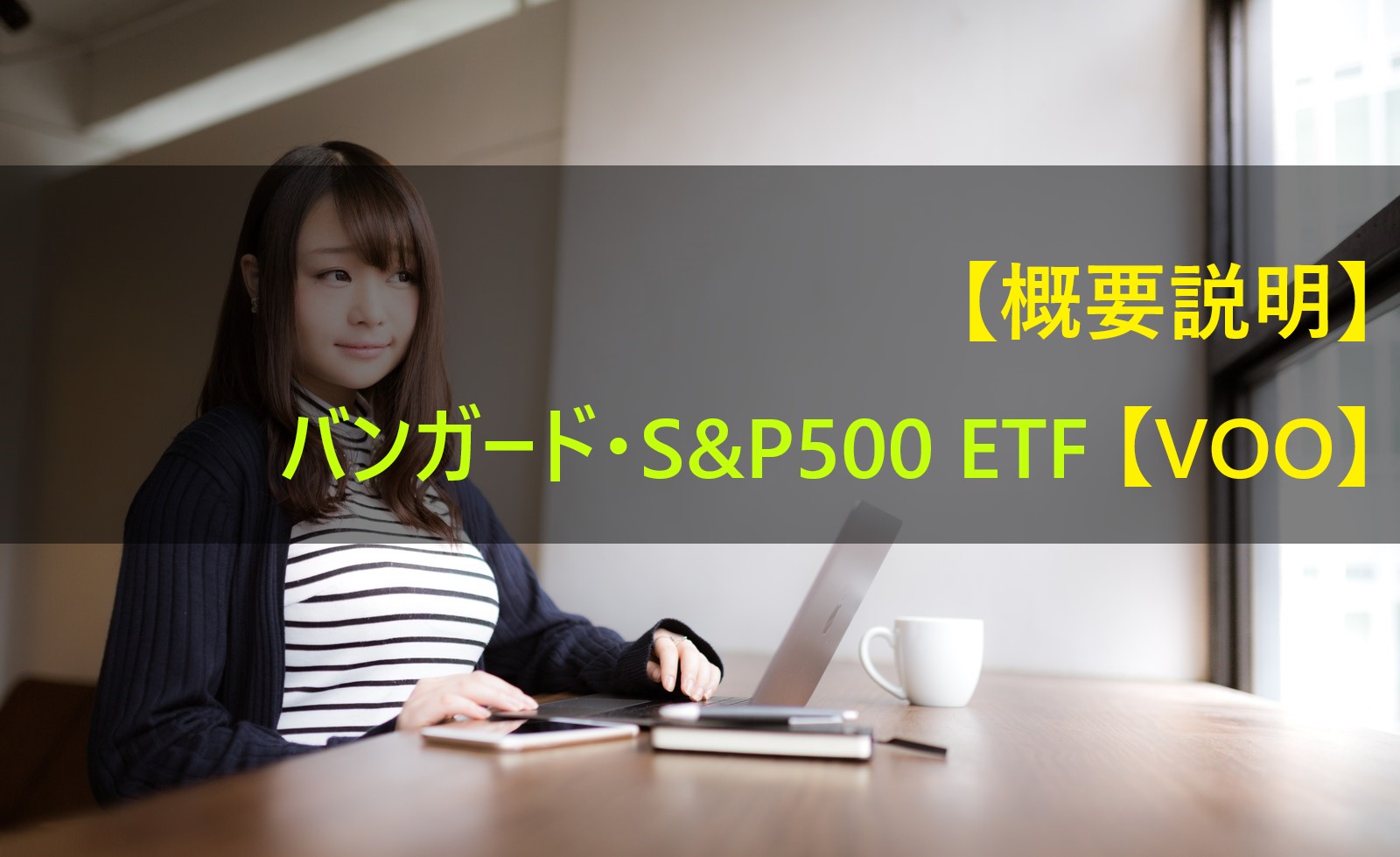 バンガード S P 500 Etf Voo の概要説明 簡単に内容を把握したい人向け 家と投資と子育て In 石川県